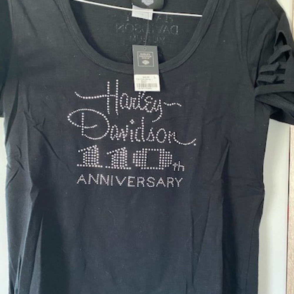 Harley-Davidson 110th Anniversary Bling Addition